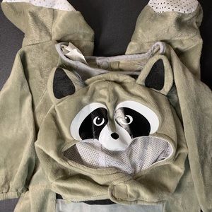 Baby Racoon costume